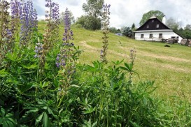 Je Vysoina pro mlad? Kandidti na hejtmana volaj po zubach, internetu a parcelch